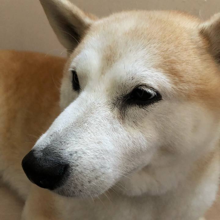 3e339fd9 942a 4ed6 9344 f154a1484800 1538876292225