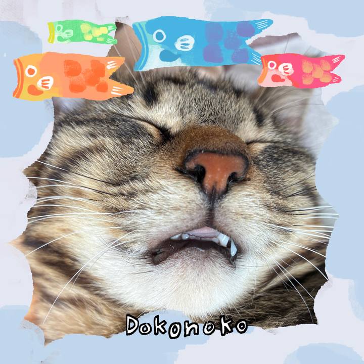 3e33cc05 b819 4681 8084 4ed400fbe956 1749265214313