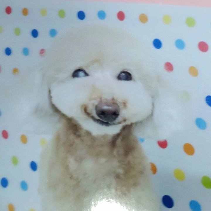 3e33ddeb 3c82 4a3b b443 8f0e4f45d7d6 1682253715246