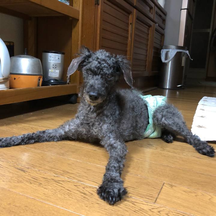 3e33e97e e76f 4d5c b1d5 b6ef19c1dc9f 1571960072521