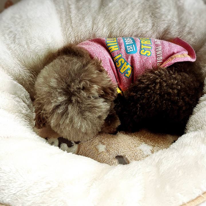 3e33f1aa 1edb 4f48 bf9a 4cbb1de8ed85 1712825431115