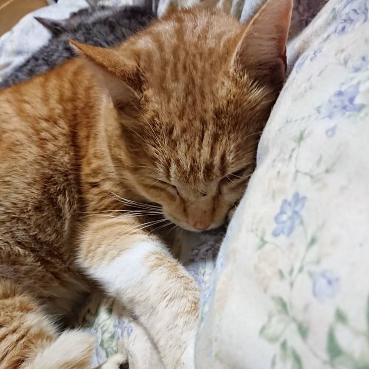 3e34b37a cffc 4d90 86f8 08f0e72caa85 1580131249084