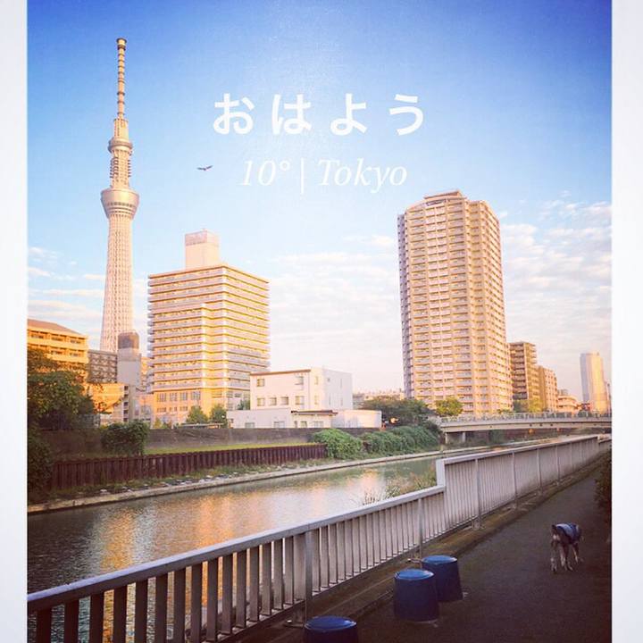 3e34ccdc 7235 4d16 aecf d7a8c845cf2c 1509054988328