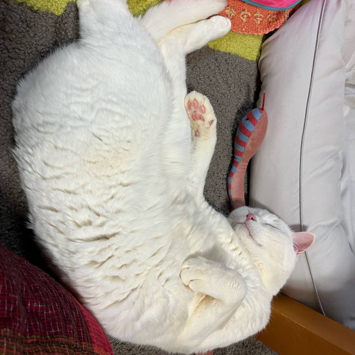 3e34d5fe 77f5 41e6 9aca 53241db2f887 1736681086502