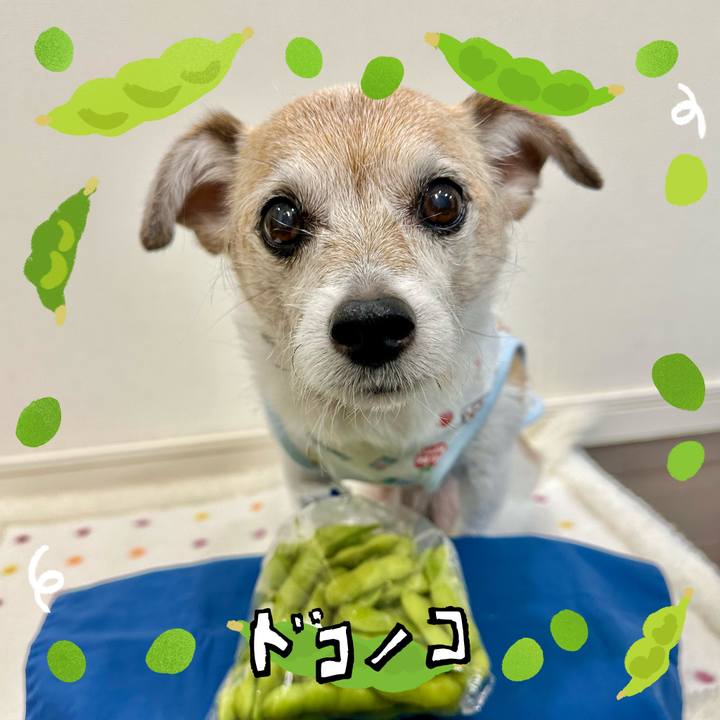 3e35671c 0350 45bf 8bb2 8d9e5193bf8c 1720864804080