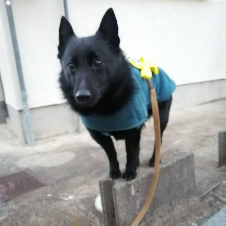 3e358ff7 3d28 4ac4 9b46 24a8d258bc34 1642629523317