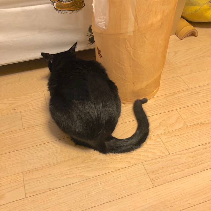 3e35b422 a65c 4743 b463 6339e9d641ea 1554469045746