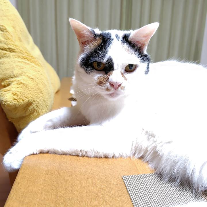 3e35b6d9 5086 4eea a5b8 6b995866cf88 1722857679871