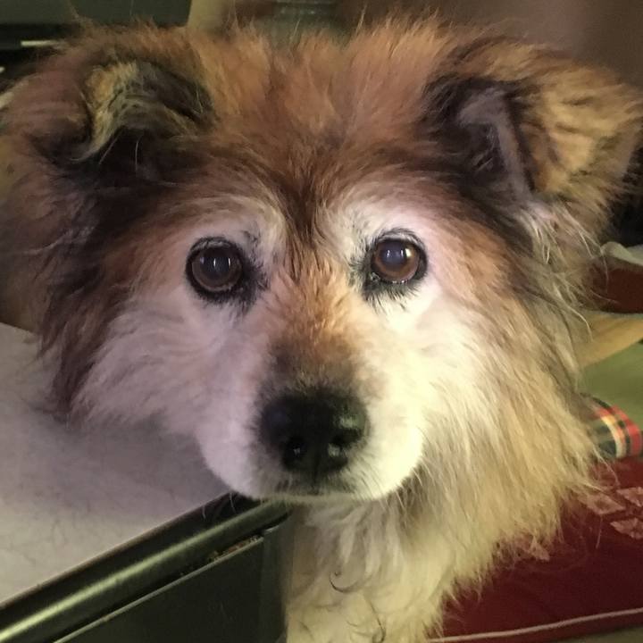 3e35ff65 bb1f 4cab b4ed de0e11626c06 1612646071112