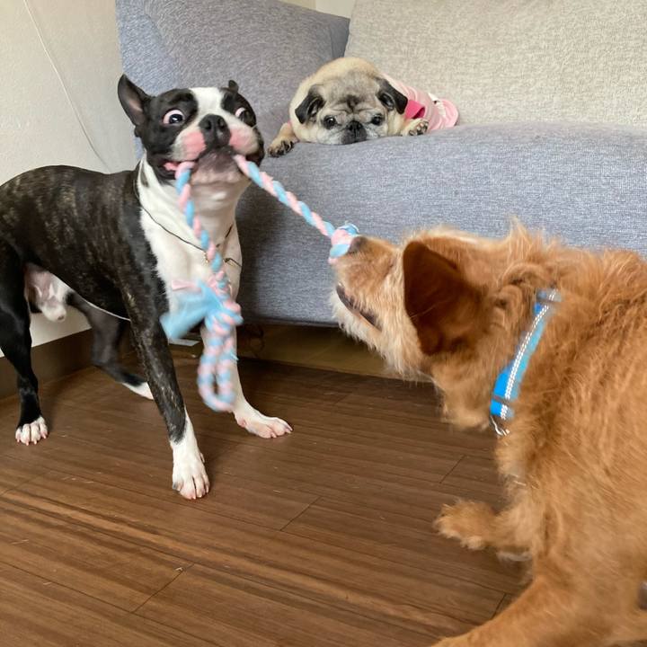 3e3644c2 d992 491e a3ab 8600e0f650f7 1620972649186