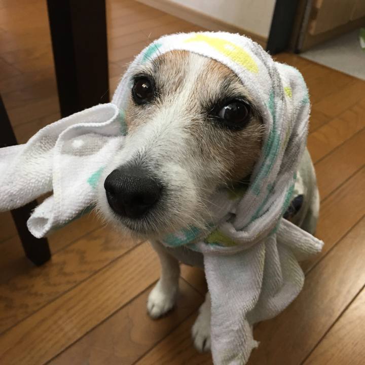 3e367407 20e0 4a4b b69e 1dd28d35a433 1619566760513