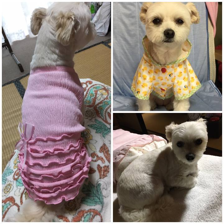 3e3683b4 d081 4c19 bcc5 1673a9328599 1560248318730