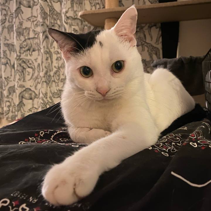 3e36aaef be1c 4cf2 baf9 79ef218ac91e 1688987170175