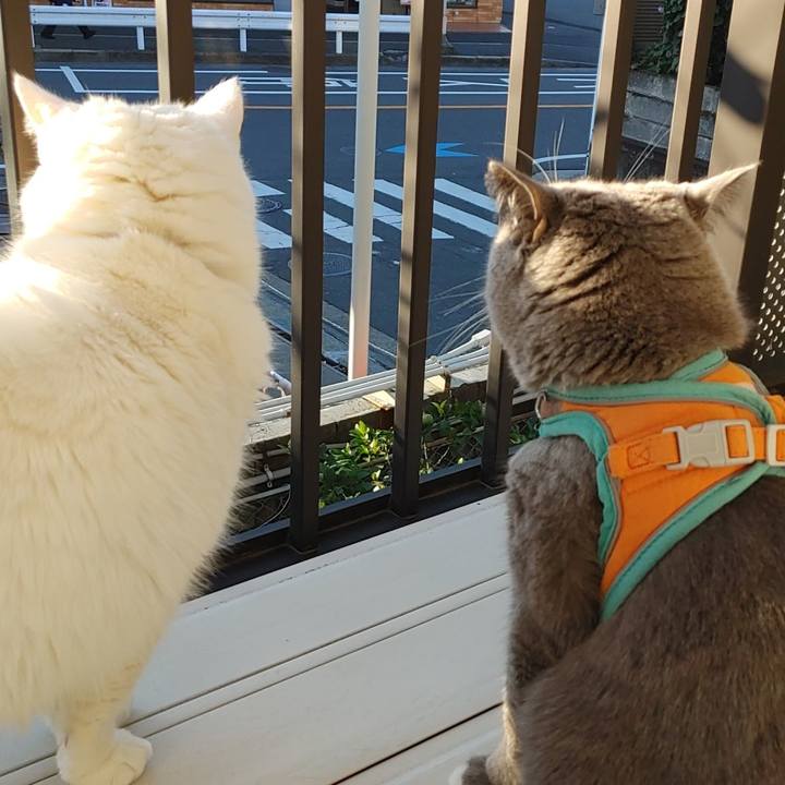 3e36e52f 9852 45da 9620 bf02a10eecbc 1701475725007