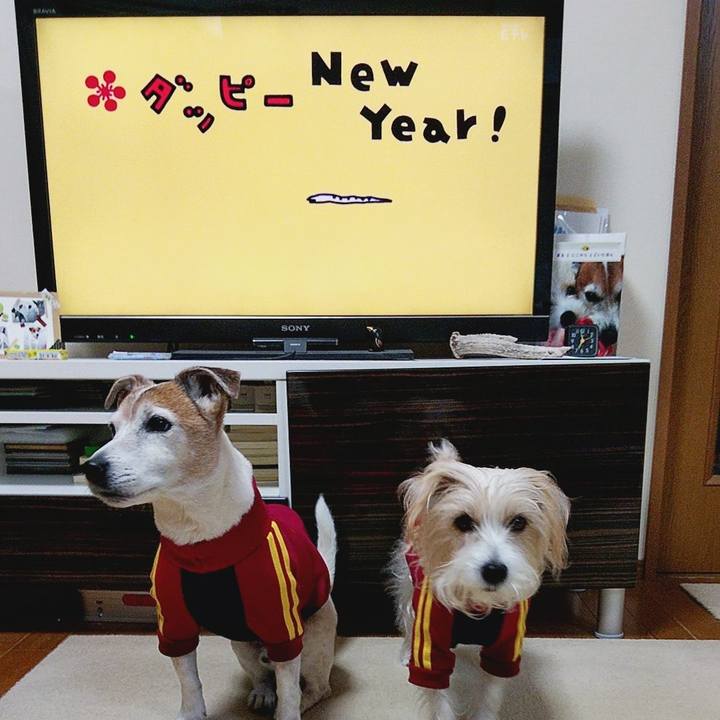 3e3719c3 8dab 40c1 b069 4208c126fb1b 1580336601482