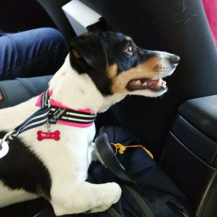 3e3730fc be25 4a23 bdd6 1a923c1d94be 1570335823871