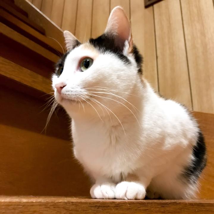 3e373b58 baa0 40fa b34a 032c5a844ac5 1527732064836