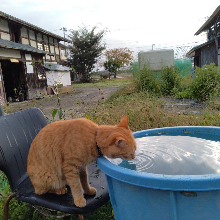 3e373fab e623 4eb8 9f1d a2679e1bb279 1665791550096