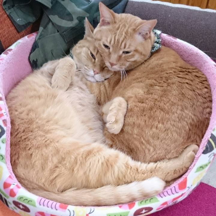 3e376a77 2d88 4e4c 99a1 f5ca80ad3862 1562768298314