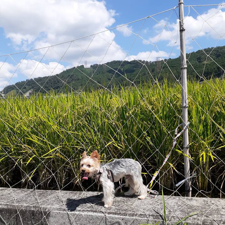 3e378249 0873 41d4 9ba5 9986d26699ab 1599273383968