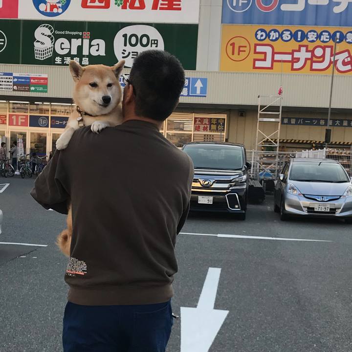 3e379c6e 6a56 4a66 a673 8b9e1981117f 1509799801999