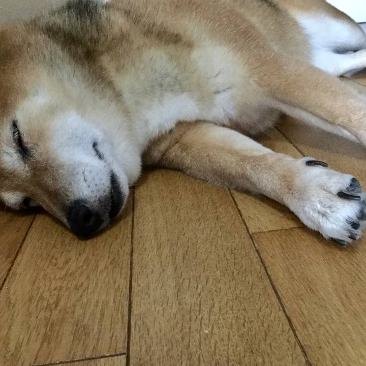 3e37c932 a2cb 4117 84c1 da8f5734fc37 1564878557684