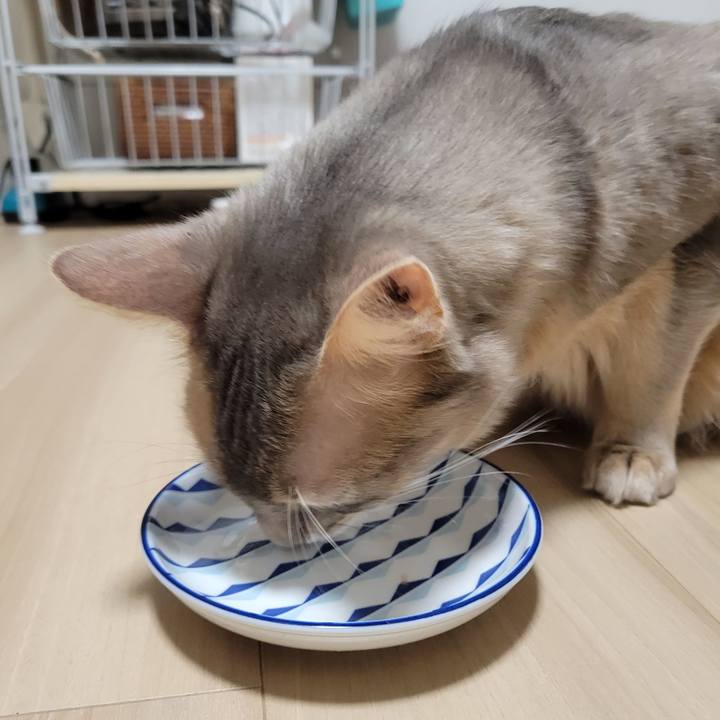 3e37e865 57f7 4ec3 a78a fee0b0e16297 1676374479637