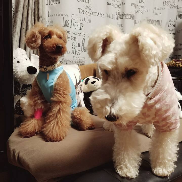 3e37f888 33a1 4cd3 8f79 3d1a3aeb87f3 1518859883175