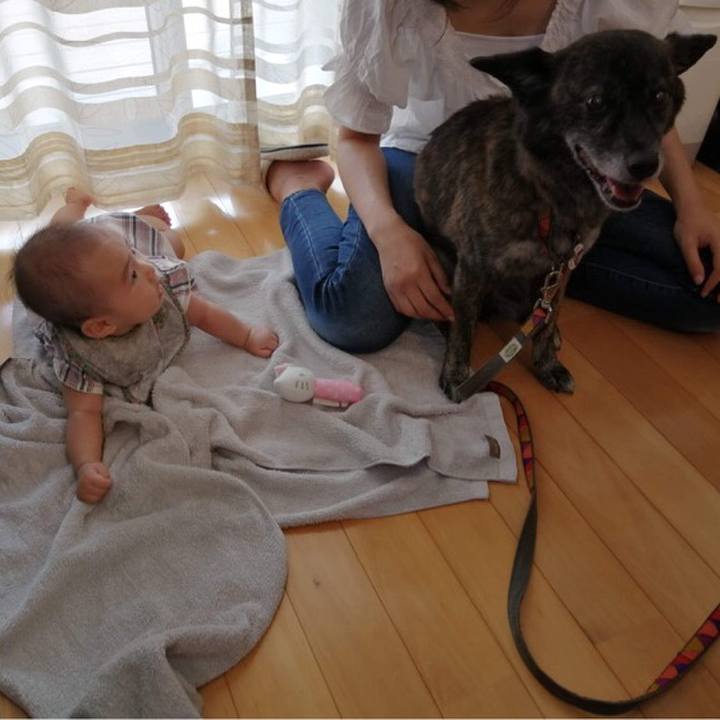 3e382086 c1e5 49c0 8cdf 75cd49440350 1596797953974