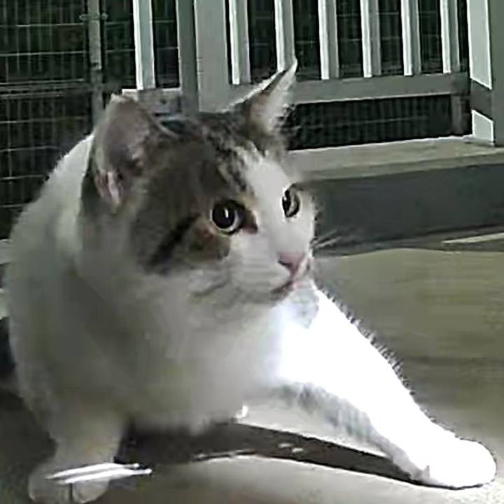 3e3835ea f178 4442 a20e f302aea0fcbc 1730182061954