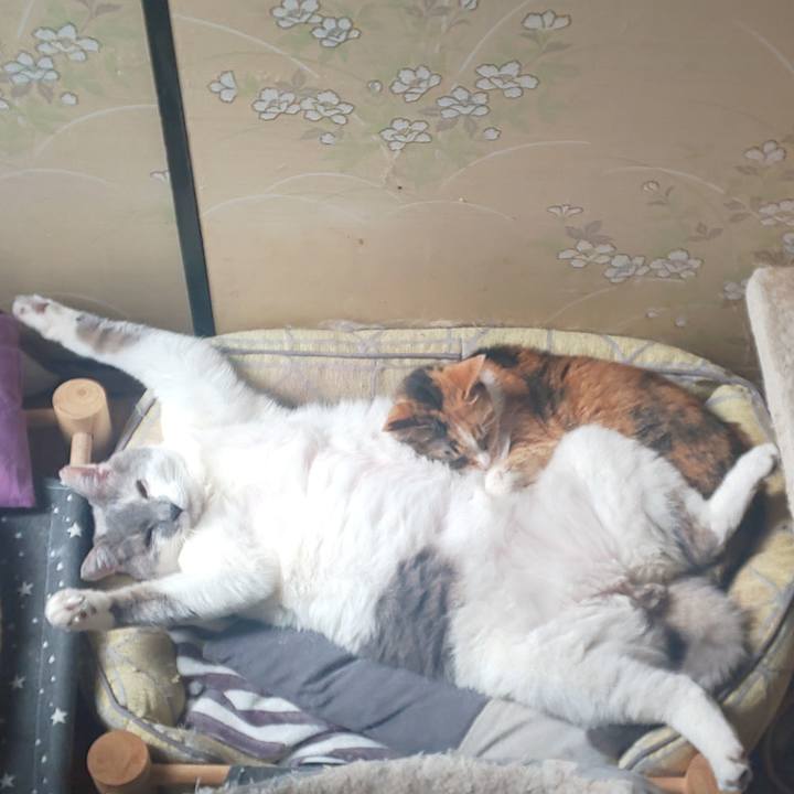 3e383fed 6a9b 4394 b802 2b70c75bb534 1678595132448