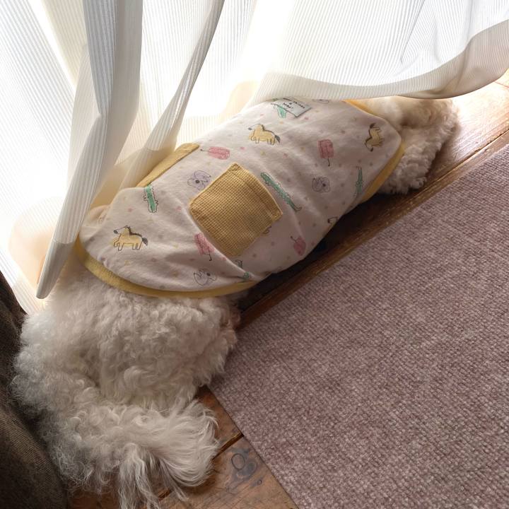 3e386ea4 0e04 4a43 ab6c bad1cc642a2d 1695092149643