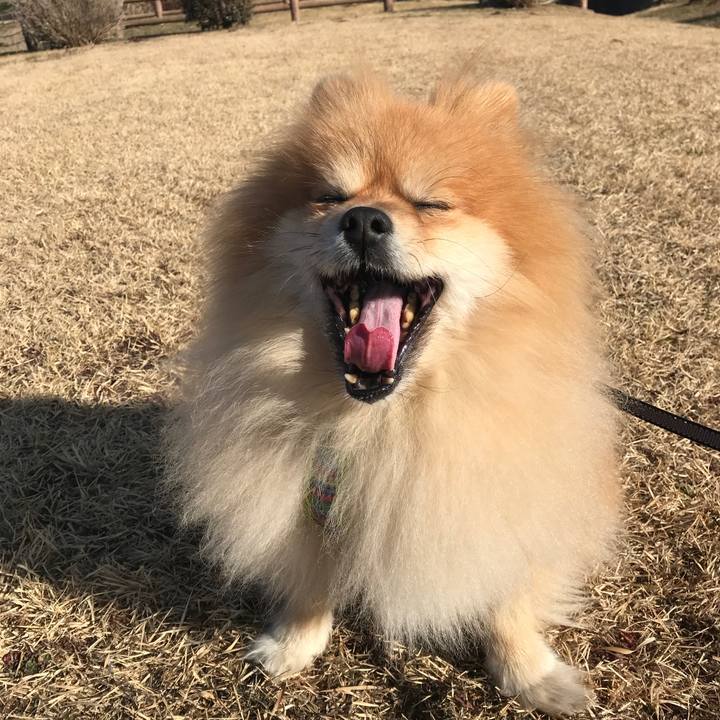 3e38a76c 37f6 45ff 9776 e632769df4f0 1546769940200