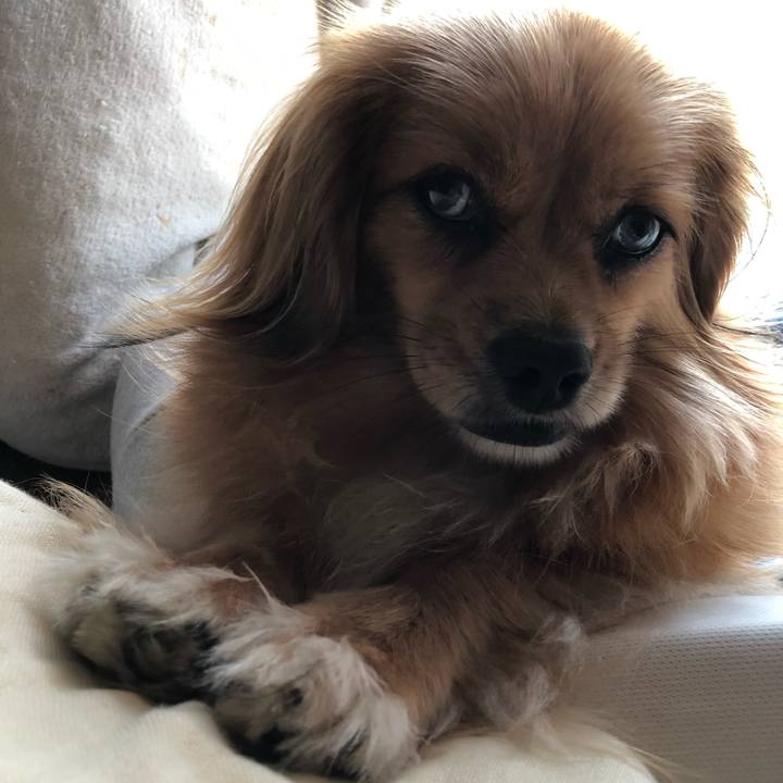 3e38d3b0 5841 4873 8938 2397812fcb02 1565389565999