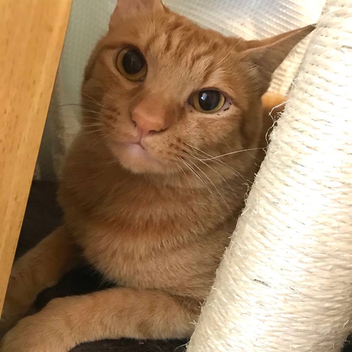 3e38db9d 6c8a 4e30 80c3 08f903b5ea4d 1590534679232