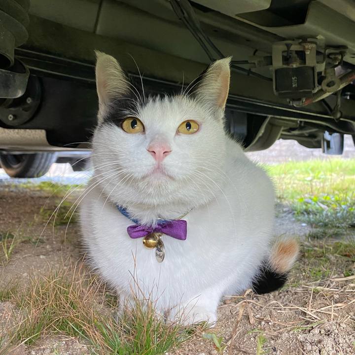 3e38e613 f1a2 46f8 a130 45dfac4552e9 1636632203858