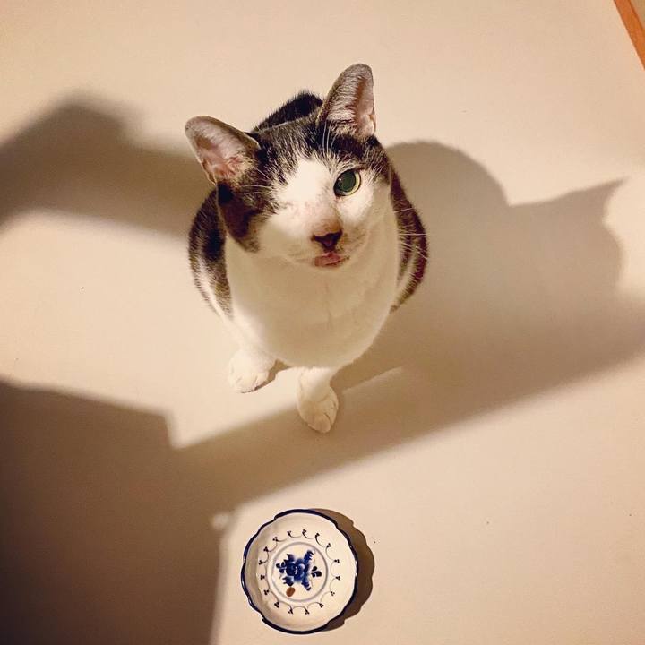 3e38e9f8 619d 4346 b244 119f37d10f0e 1599829087815