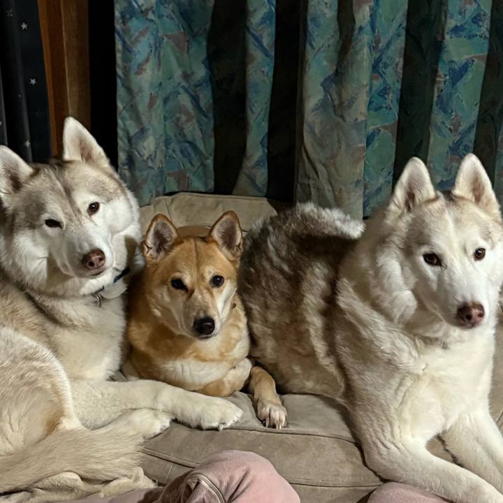 3e3906c4 eded 46d1 9745 425725da9b31 1740923927799