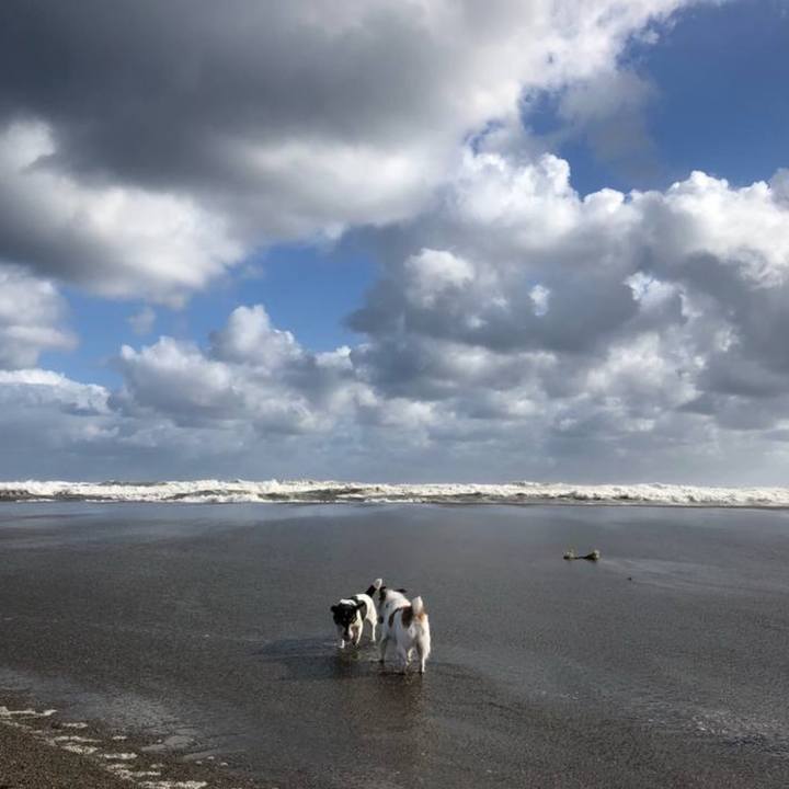 3e3907b3 6fba 40a2 86f1 6d90602a514f 1755846204630