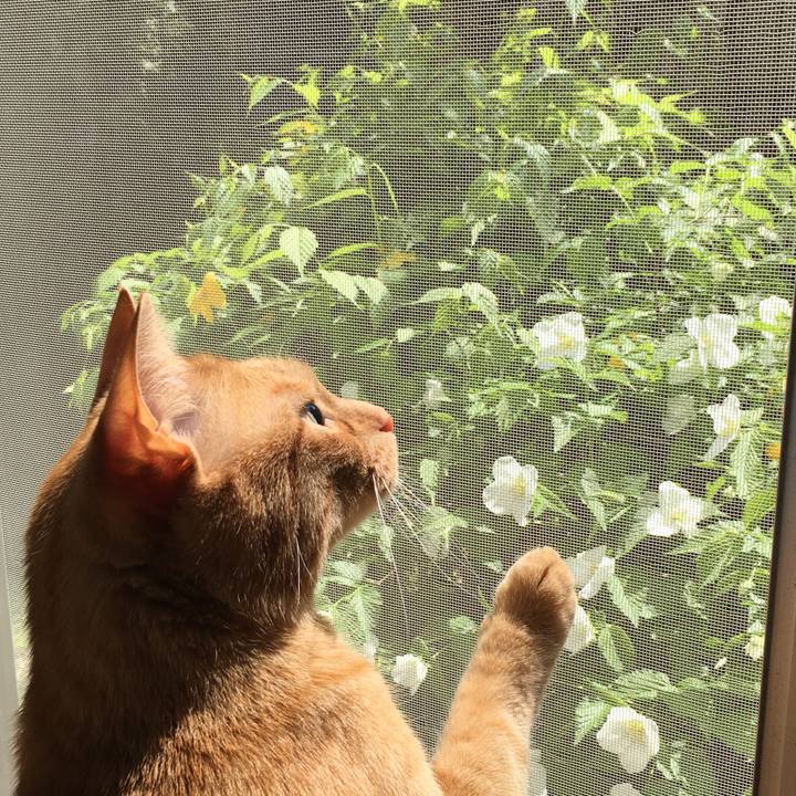 3e391c77 921f 4d3a 806f c58a8ecd1fef 1585973482714