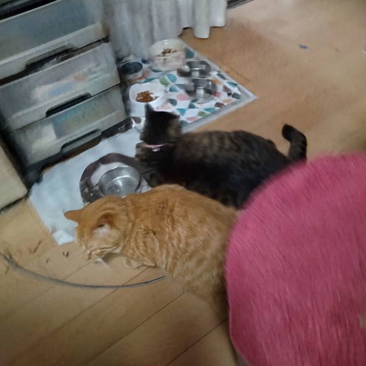 3e394d1f 57eb 4cea 805e 542162582791 1721986077381