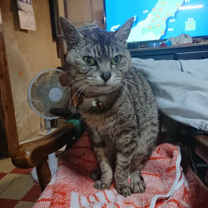 3e3963a2 90e6 4b3c bb71 2854e95d7d51 1593120967615