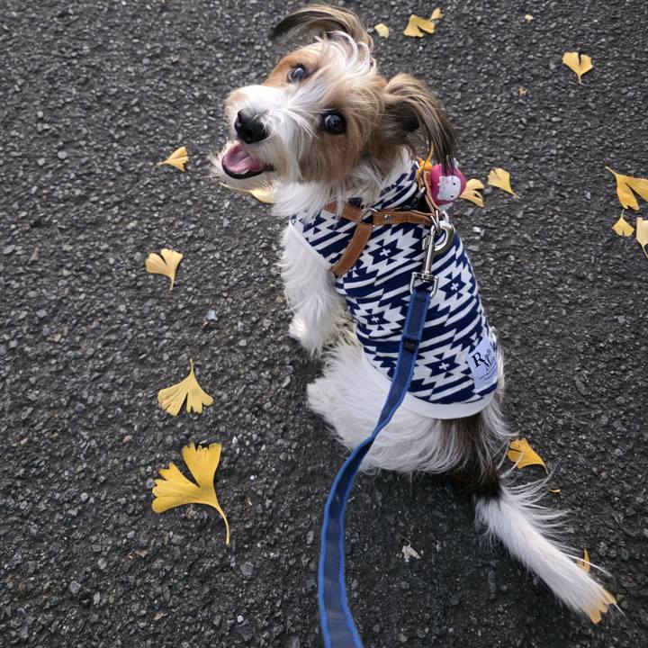 3e39640d 6a5a 43ce aabe 5e7a30d6a2ee 1764144333261