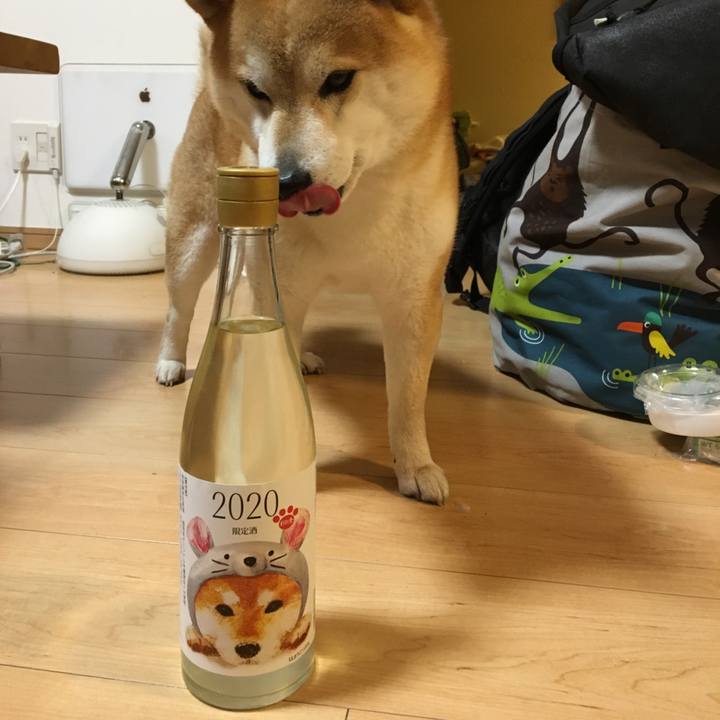 3e397525 6250 441d 9ead db007be9eb0f 1581162318767