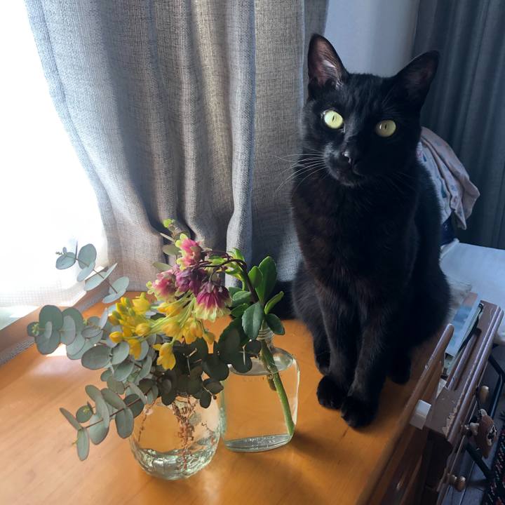 3e398576 f105 4b8f 8461 68bea2f3b02c 1618966066187