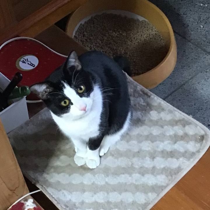 3e39a64a 9162 4055 a6a6 39f47383cc6b 1647505306608