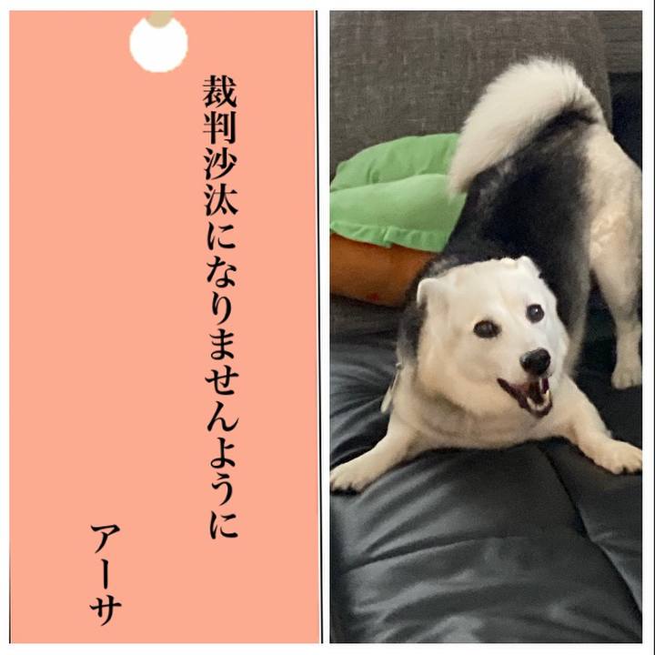 3e39a9f1 d229 4134 941c c77bf85a8f5d 1657140910958