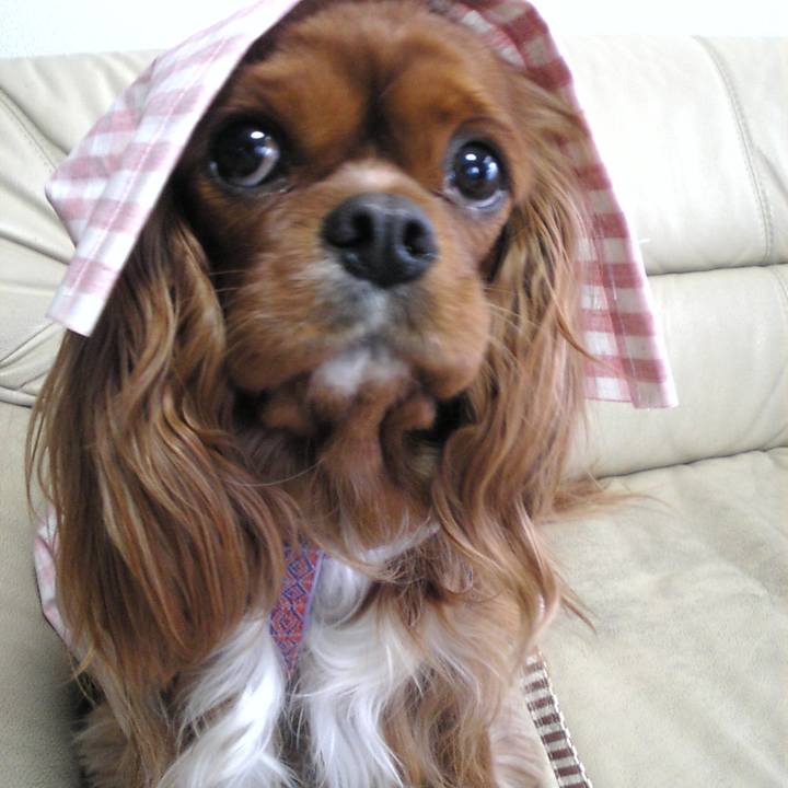 3e39b46e 1722 4232 912f 9eb767f31778 1511077529627