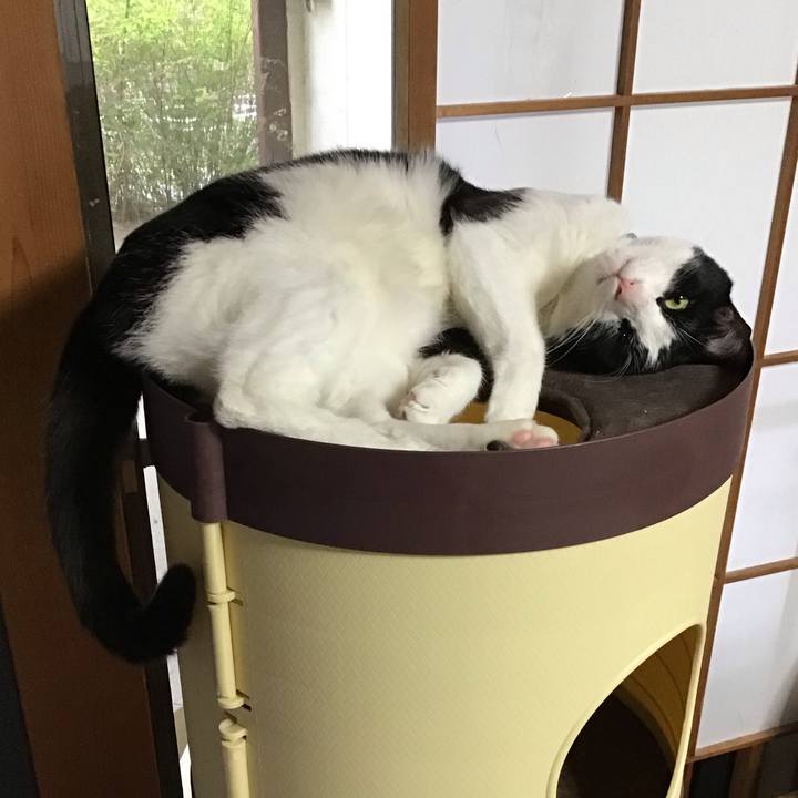 3e39e49a b806 4525 bda9 46bab91181f2 1683441370994