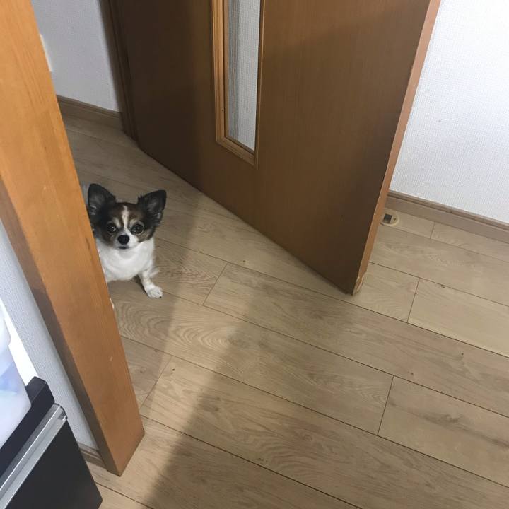 3e3a2580 e02a 49b9 9955 4ec5ec2fe24d 1598800114115